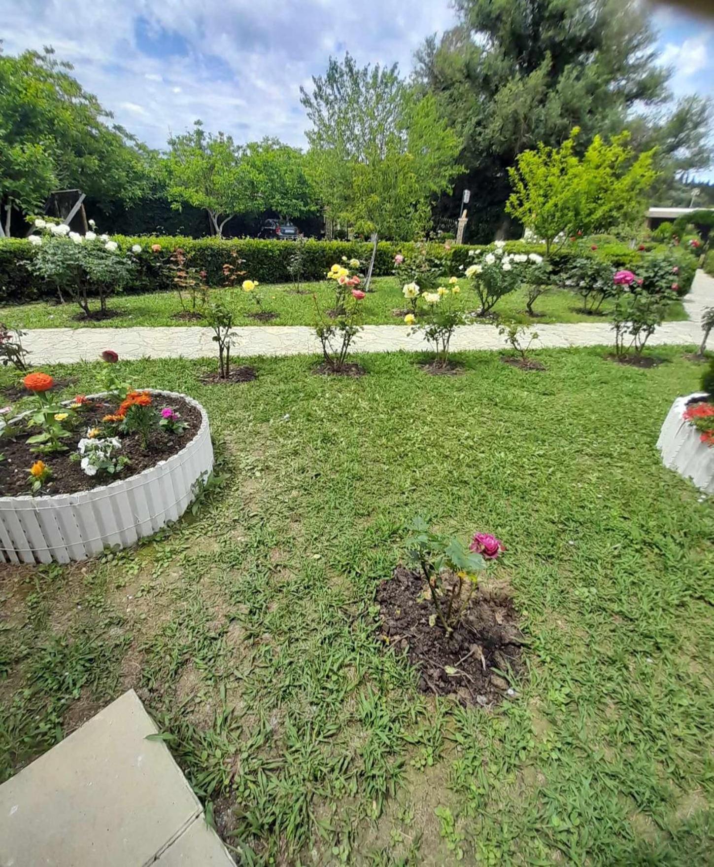 Artemis Studios & Apartments Sidari Exteriér fotografie
