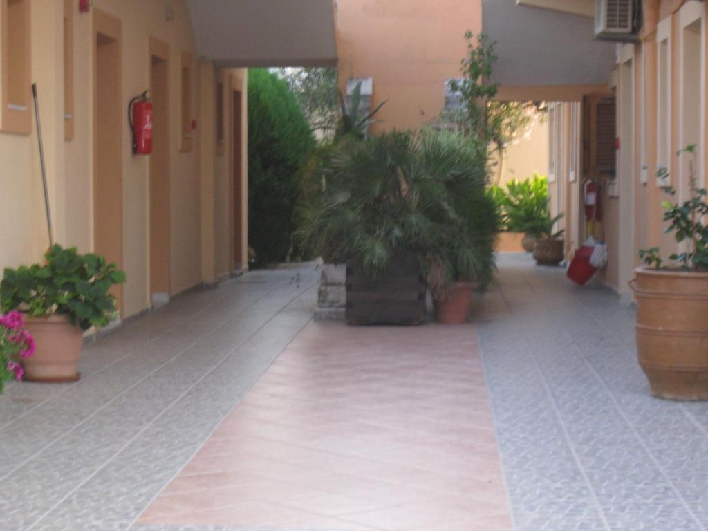 Artemis Studios & Apartments Sidari Exteriér fotografie